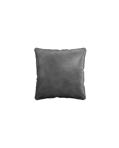 Cushion Velvet