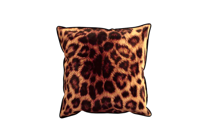 Cushion Velvet Printed