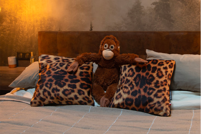 Coussin Velours Imprimé