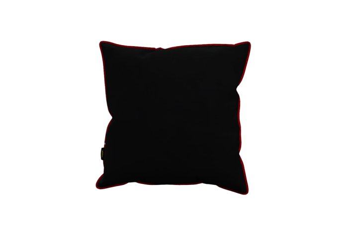 Cushion Velvet Printed