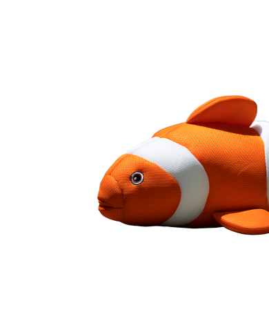 Swimming Cushion Goldy the Fish