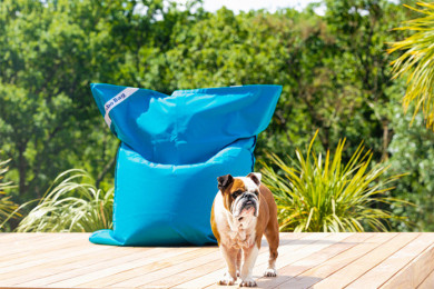 Jumbo Original | Jumbo Bag